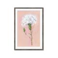 Picture of Single White Flower _GroupedProduct_Rectangle_Portrait_Framed_Matted_