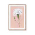 Picture of Single White Flower _GroupedProduct_Rectangle_Portrait_Framed_Matted_