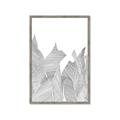 Picture of Leafy Lines I _GroupedProduct_Rectangle_Portrait_Framed_Matted_