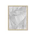 Picture of Leafy Lines II _GroupedProduct_Rectangle_Portrait_Framed_Matted_