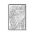 Picture of Leafy Lines II _GroupedProduct_Rectangle_Portrait_Framed_Matted_