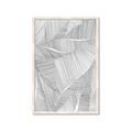 Picture of Leafy Lines II _GroupedProduct_Rectangle_Portrait_Framed_Matted_