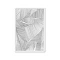 Picture of Leafy Lines II _GroupedProduct_Rectangle_Portrait_Framed_Matted_