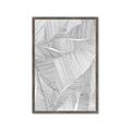 Picture of Leafy Lines II _GroupedProduct_Rectangle_Portrait_Framed_Matted_