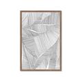 Picture of Leafy Lines II _GroupedProduct_Rectangle_Portrait_Framed_Matted_