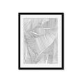 Picture of Leafy Lines II _GroupedProduct_Rectangle_Portrait_Framed_Matted_