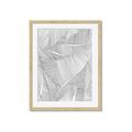 Picture of Leafy Lines II _GroupedProduct_Rectangle_Portrait_Framed_Matted_