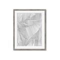 Picture of Leafy Lines II _GroupedProduct_Rectangle_Portrait_Framed_Matted_