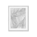Picture of Leafy Lines II _GroupedProduct_Rectangle_Portrait_Framed_Matted_