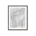 Picture of Leafy Lines II _GroupedProduct_Rectangle_Portrait_Framed_Matted_