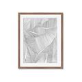 Picture of Leafy Lines II _GroupedProduct_Rectangle_Portrait_Framed_Matted_