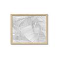 Picture of Leafy Lines III _GroupedProduct_Rectangle_Landscape_Framed_Matted_