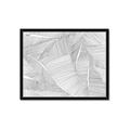 Picture of Leafy Lines III _GroupedProduct_Rectangle_Landscape_Framed_Matted_