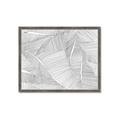 Picture of Leafy Lines III _GroupedProduct_Rectangle_Landscape_Framed_Matted_