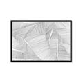Picture of Leafy Lines III _GroupedProduct_Rectangle_Landscape_Framed_Matted_