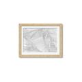 Picture of Leafy Lines III _GroupedProduct_Rectangle_Landscape_Framed_Matted_