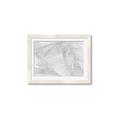 Picture of Leafy Lines III _GroupedProduct_Rectangle_Landscape_Framed_Matted_