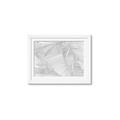 Picture of Leafy Lines III _GroupedProduct_Rectangle_Landscape_Framed_Matted_