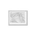 Picture of Leafy Lines III _GroupedProduct_Rectangle_Landscape_Framed_Matted_