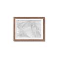 Picture of Leafy Lines III _GroupedProduct_Rectangle_Landscape_Framed_Matted_