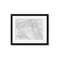 Picture of Leafy Lines III _GroupedProduct_Rectangle_Landscape_Framed_Matted_
