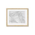 Picture of Leafy Lines III _GroupedProduct_Rectangle_Landscape_Framed_Matted_