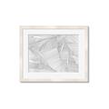 Picture of Leafy Lines III _GroupedProduct_Rectangle_Landscape_Framed_Matted_