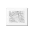 Picture of Leafy Lines III _GroupedProduct_Rectangle_Landscape_Framed_Matted_