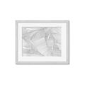 Picture of Leafy Lines III _GroupedProduct_Rectangle_Landscape_Framed_Matted_
