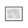 Picture of Leafy Lines III _GroupedProduct_Rectangle_Landscape_Framed_Matted_