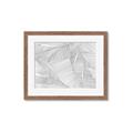 Picture of Leafy Lines III _GroupedProduct_Rectangle_Landscape_Framed_Matted_