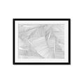 Picture of Leafy Lines III _GroupedProduct_Rectangle_Landscape_Framed_Matted_