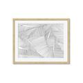 Picture of Leafy Lines III _GroupedProduct_Rectangle_Landscape_Framed_Matted_