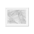 Picture of Leafy Lines III _GroupedProduct_Rectangle_Landscape_Framed_Matted_