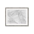 Picture of Leafy Lines III _GroupedProduct_Rectangle_Landscape_Framed_Matted_