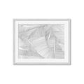 Picture of Leafy Lines III _GroupedProduct_Rectangle_Landscape_Framed_Matted_