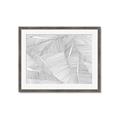Picture of Leafy Lines III _GroupedProduct_Rectangle_Landscape_Framed_Matted_