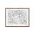 Picture of Leafy Lines III _GroupedProduct_Rectangle_Landscape_Framed_Matted_