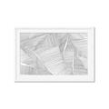 Picture of Leafy Lines III _GroupedProduct_Rectangle_Landscape_Framed_Matted_