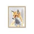 Picture of Red Fox I _GroupedProduct_Rectangle_Portrait_Framed_Matted_