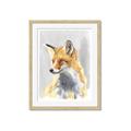 Picture of Red Fox I _GroupedProduct_Rectangle_Portrait_Framed_Matted_