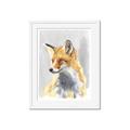 Picture of Red Fox I _GroupedProduct_Rectangle_Portrait_Framed_Matted_