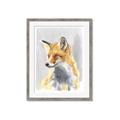 Picture of Red Fox I _GroupedProduct_Rectangle_Portrait_Framed_Matted_