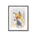 Picture of Red Fox I _GroupedProduct_Rectangle_Portrait_Framed_Matted_