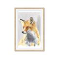 Picture of Red Fox I _GroupedProduct_Rectangle_Portrait_Framed_Matted_