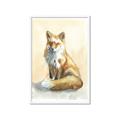 Picture of Red Fox II _GroupedProduct_Rectangle_Portrait_Framed_Matted_