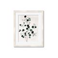 Picture of Watercolor Leaves II _GroupedProduct_Rectangle_Portrait_Framed_Matted_