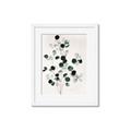 Picture of Watercolor Leaves II _GroupedProduct_Rectangle_Portrait_Framed_Matted_