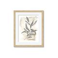 Picture of Antiqued Leaves I _GroupedProduct_Rectangle_Portrait_Framed_Matted_