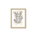 Picture of Antiqued Leaves II _GroupedProduct_Rectangle_Portrait_Framed_Matted_
